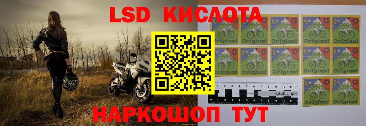 ЛСД экстази кислота  Вход с VPN  ЛСД экстази  Лесной  LSD-25 экстази ecstasy 