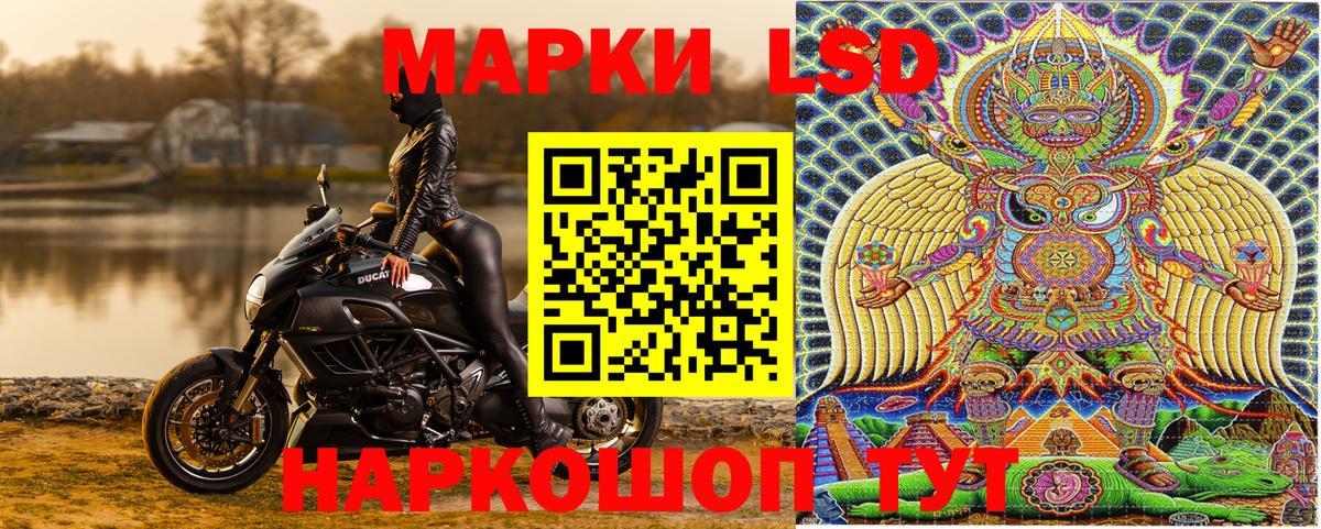 Марки NBOMe 1500мкг  Вход с VPN  Лесной  Марки NBOMe 1500мкг 