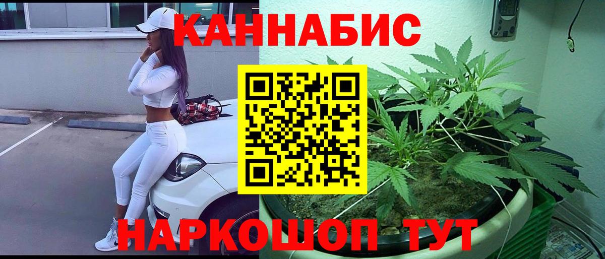 Канабис MAZAR  МАРИХУАНА ГИДРОПОН  Вход с VPN  МАРИХУАНА сатива  Бошки Шишки Bruce Banner  Лесной 